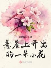 悬崖上开满花