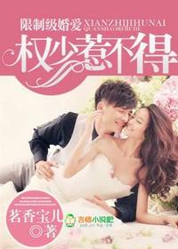 独家婚宠琛少宠妻免费阅读