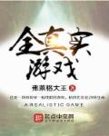 真实游戏大全