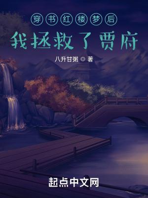 穿书红楼梦