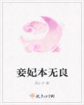妾本无良王爷你被休了无弹窗
