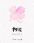 物镜低倍镜和高倍镜的区别