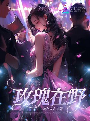 野玫瑰讲的什么