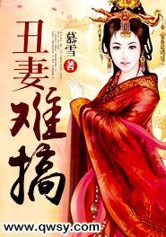 丑妻难搞书评