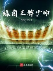 绿茵王牌少帅免费阅读