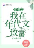 穿书后我在年代文致富免费