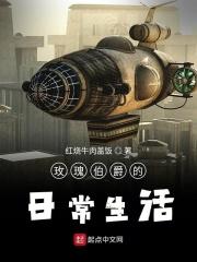 玫瑰伯爵的日常生活 红烧牛肉盖饭