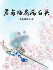 我与梅花两白头是哪首诗