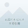 我的女皇上司TXT免费