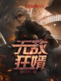 无敌狂婿1-100集